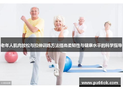 老年人肌肉放松与拉伸训练方法提高柔韧性与健康水平的科学指导